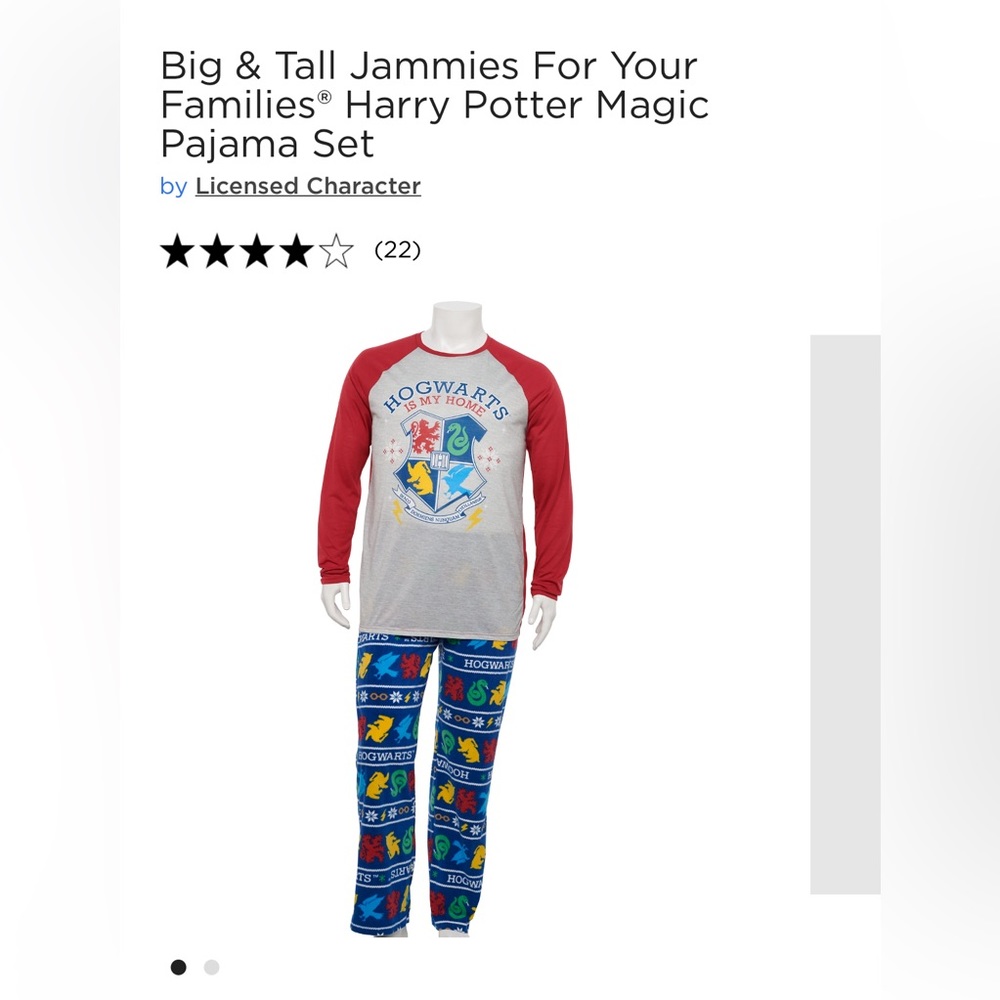 NWT- Harry Potter men's pajama set from Jammies For Your Families (Big/Tall- XL)